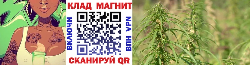 Купить наркотики Звенигород МАРИХУАНА  ГАШ 