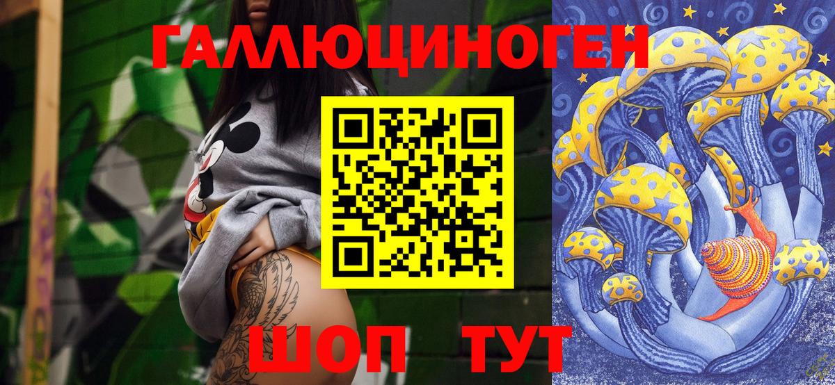 Псилоцибиновые грибы Psilocybine cubensis Звенигород